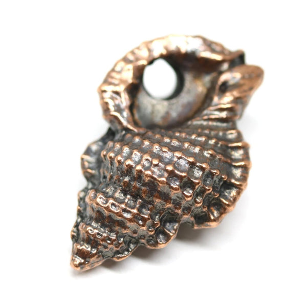 Large copper beach shell pendant with one hole