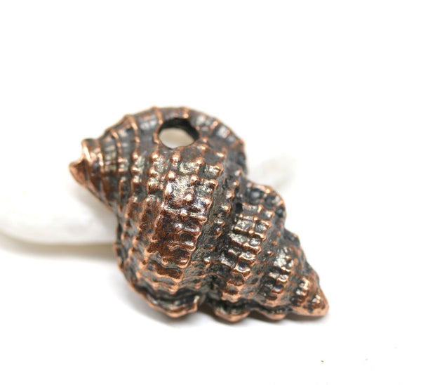 Large copper beach shell pendant with one hole