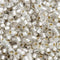 11/0 Toho seed beads, Silver Lined Frosted Crystal N 21F - 10g