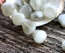9mm Gray white shell beads, Czech glass mixed color beach seashell - 30Pc