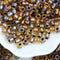 11/0 Toho seed beads, Inside Color Rainbow Topaz Gold Lined N 276 - 10g