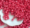 8/0 Toho seed beads, Opaque Lustered Cherry red N 125 - 10g