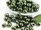 Preciosa Seed drop beads, Metallic Olive Green, Drop beads size 5/0 - 10g